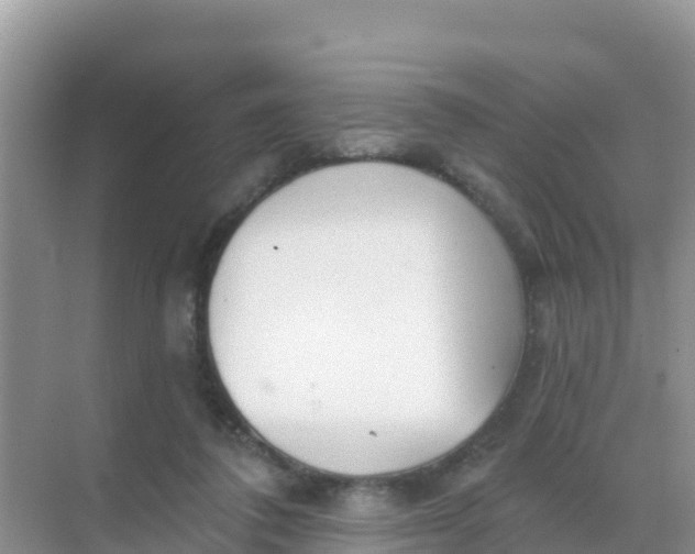 X0000069360308200605262005