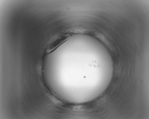 X0000069360309200605262005