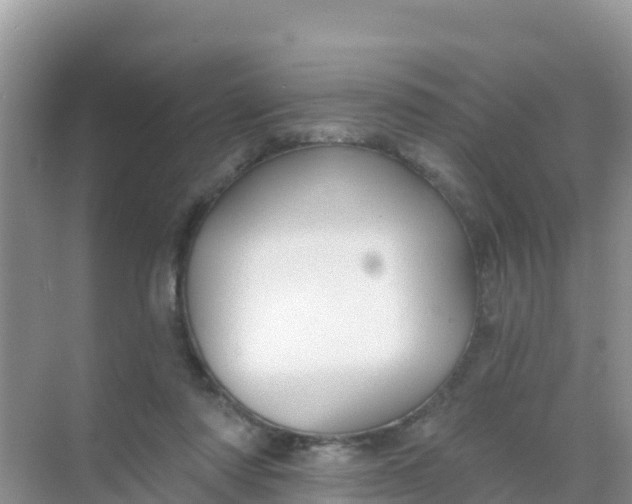 X0000069360310200605262005