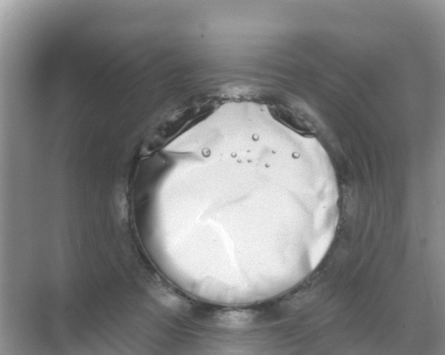 X0000069360313200605262005