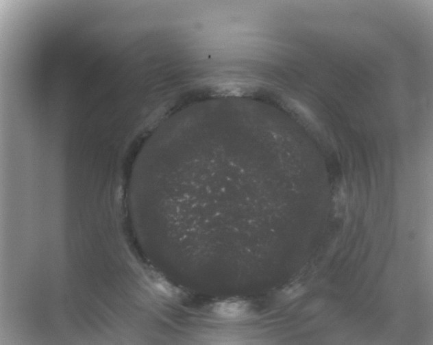 X0000069360314200605262005