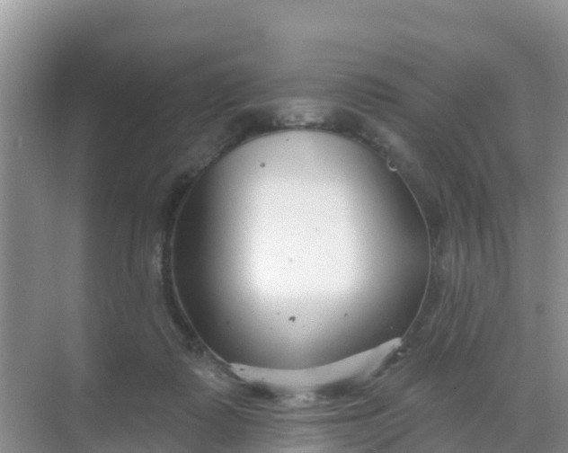 X0000069360315200605262005