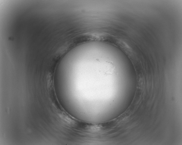 X0000069360318200605262005