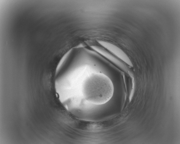 X0000069360319200605262005