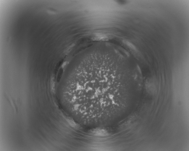 X0000069360322200605262005