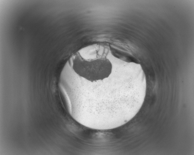 X0000069360323200605262005