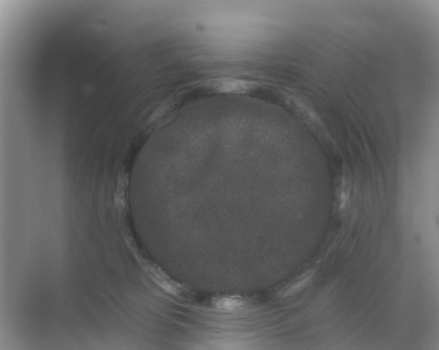 X0000069360325200605262005