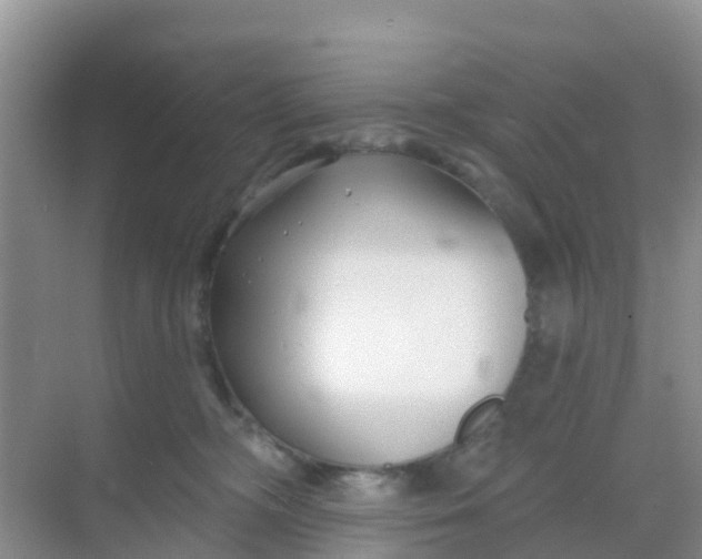 X0000069360326200605262005