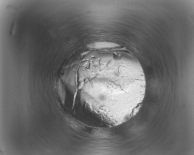 X0000069360331200605262005