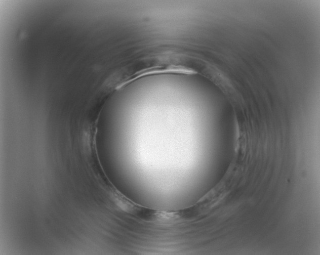 X0000069360333200605262005