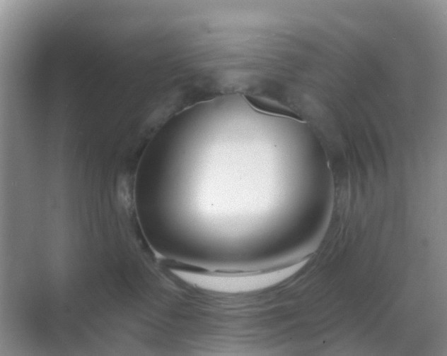 X0000069360335200605262005