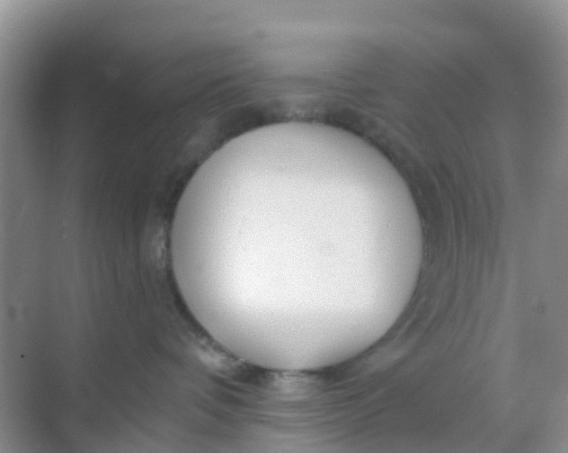 X0000069360336200605262005