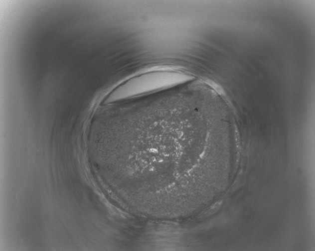 X0000069360337200605262004