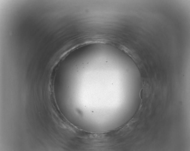 X0000069360338200605262004