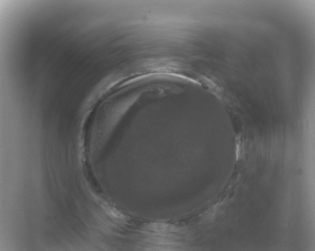 X0000069360339200605262004