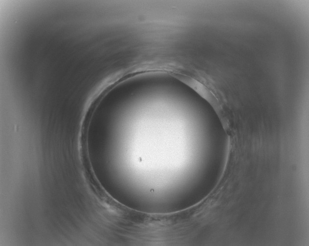 X0000069360340200605262004