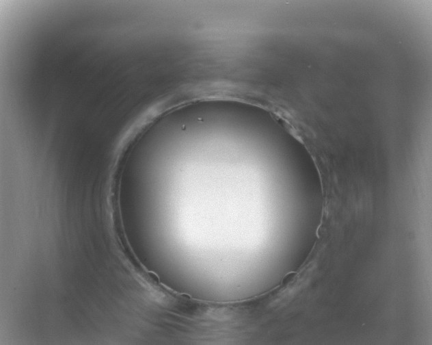 X0000069360341200605262004