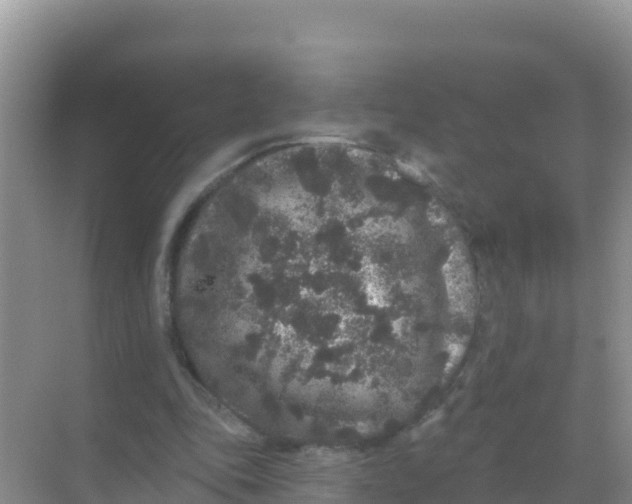 X0000069360343200605262004