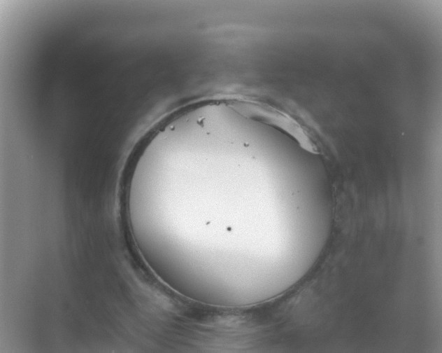 X0000069360344200605262004