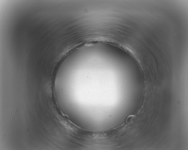 X0000069360345200605262004