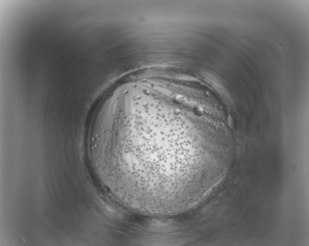 X0000069360346200605262004