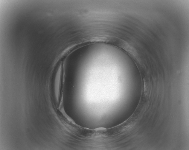 X0000069360348200605262004