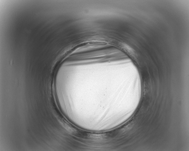 X0000069360349200605262004