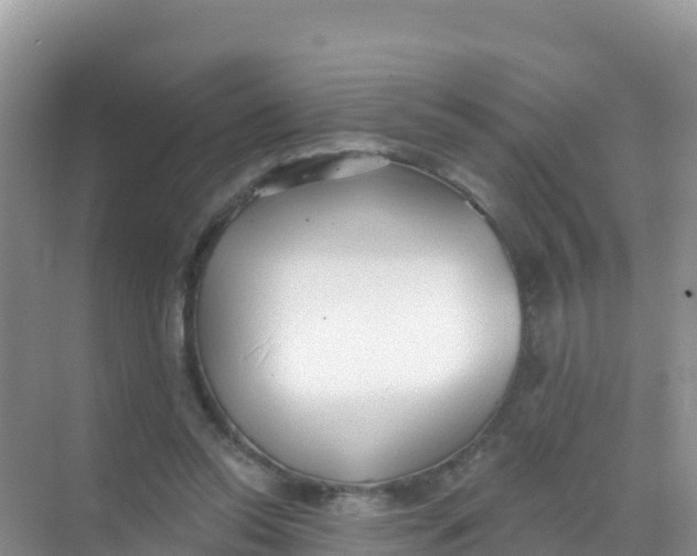 X0000069360350200605262004