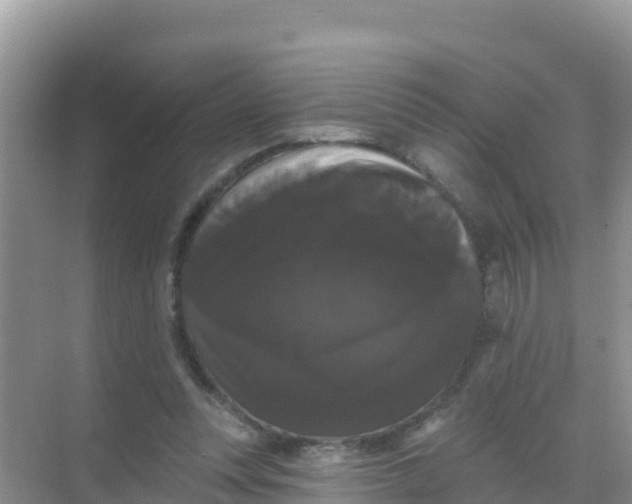 X0000069360351200605262004