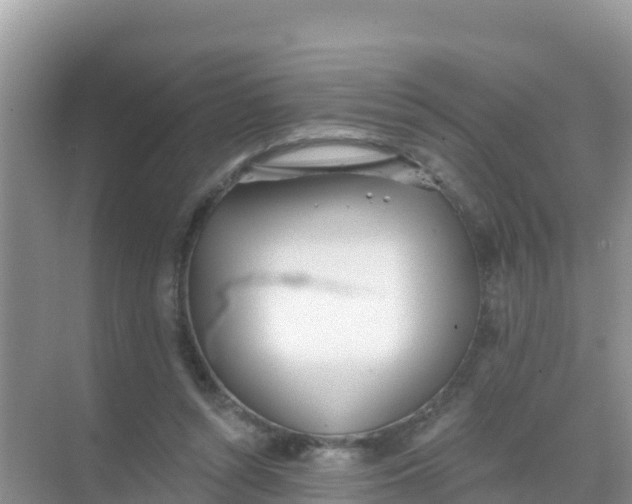 X0000069360352200605262004