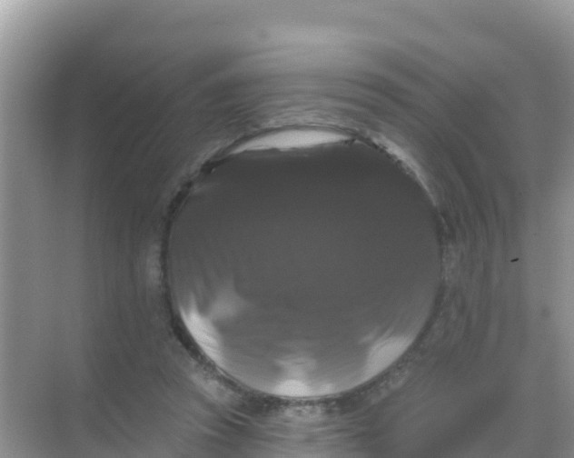 X0000069360353200605262004