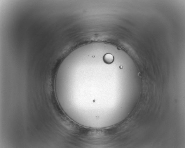 X0000069360354200605262004