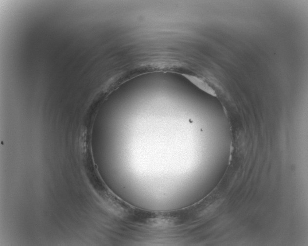 X0000069360356200605262004