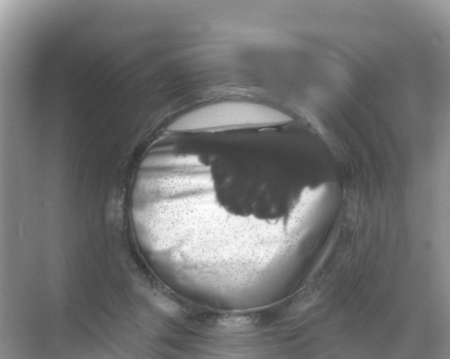 X0000069360357200605262004