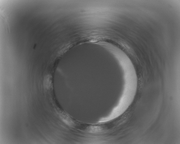 X0000069360361200605262005