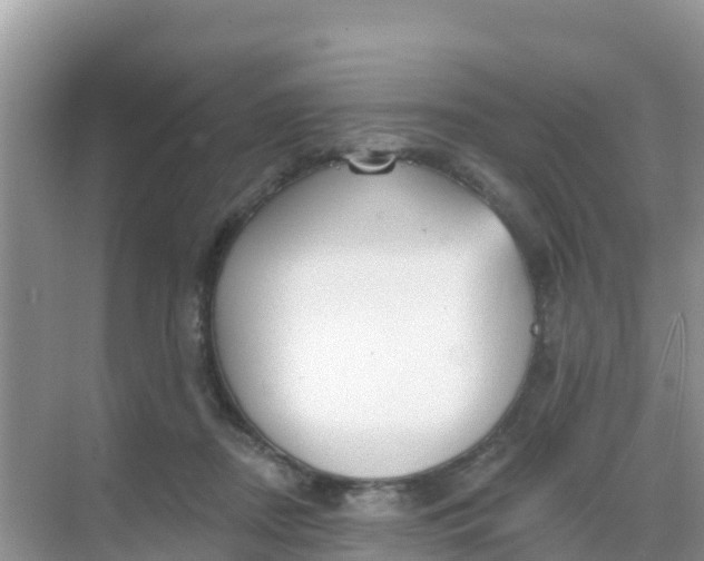 X0000069360362200605262005