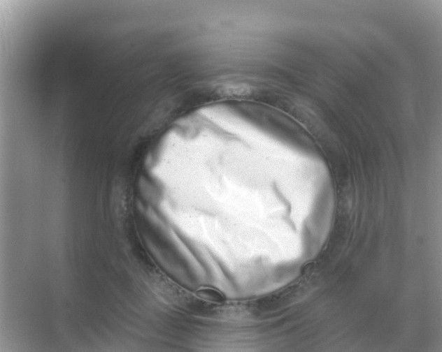 X0000069360363200605262005