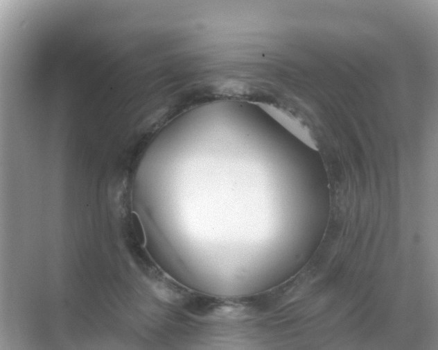 X0000069360364200605262005