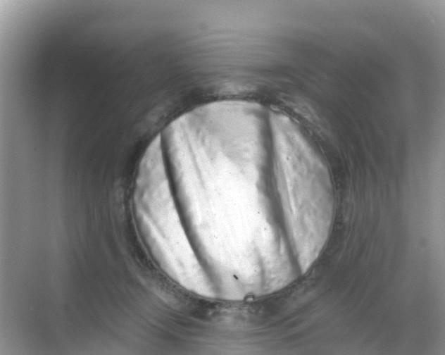 X0000069360366200605262005