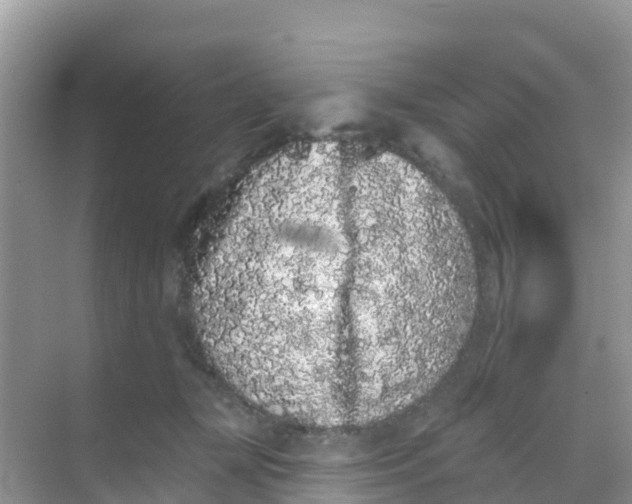 X0000069360367200605262005