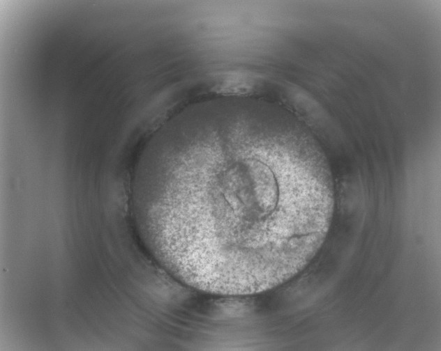 X0000069360370200605262005