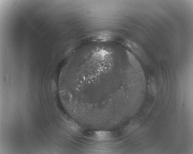 X0000069360371200605262005