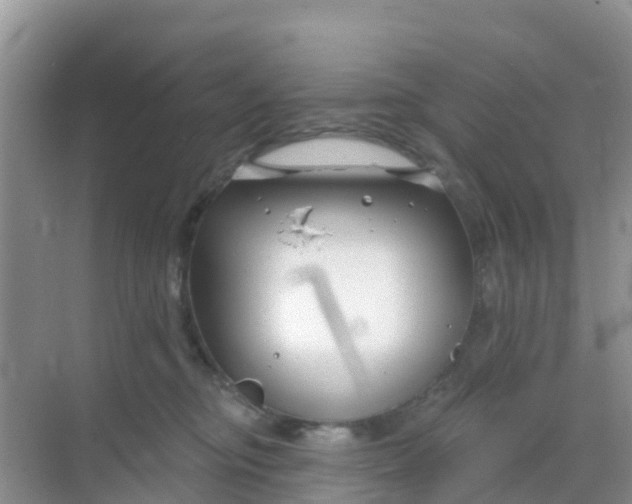 X0000069360374200605262005