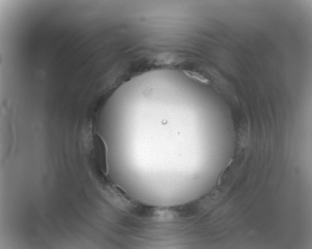 X0000069360376200605262005