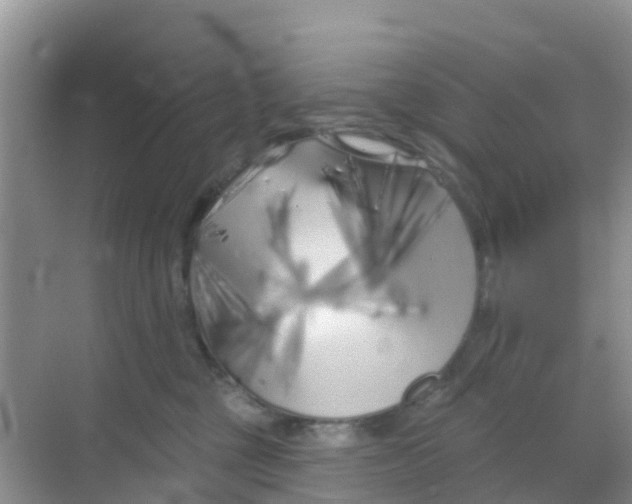 X0000069360377200605262005