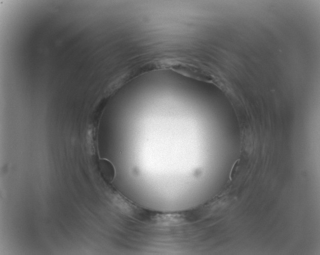 X0000069360378200605262005