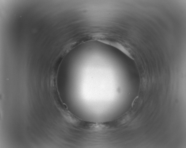 X0000069360379200605262005