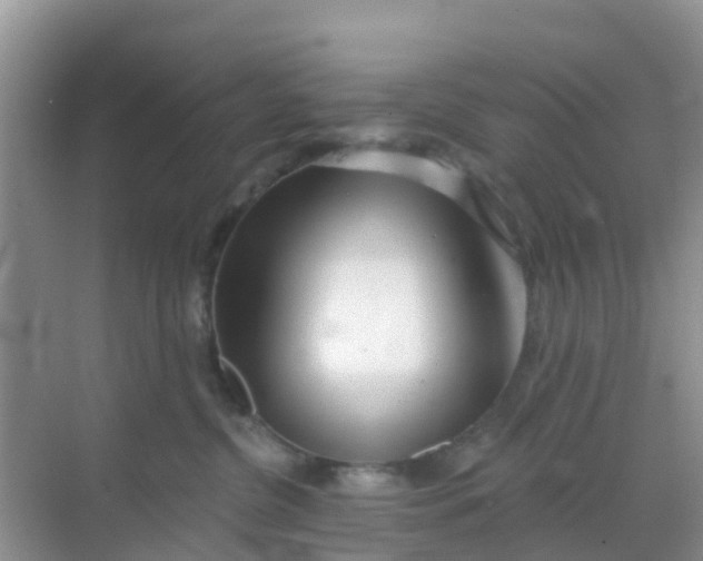 X0000069360380200605262005