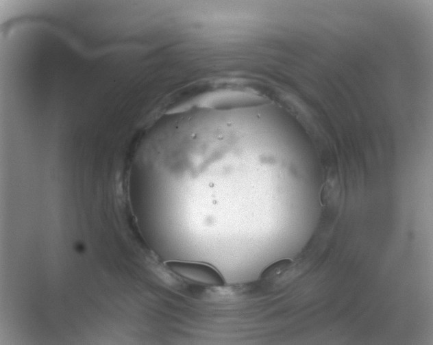 X0000069360381200605262005