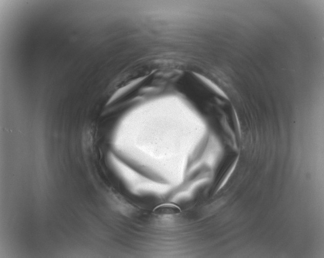 X0000069360382200605262005